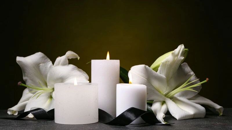    Фото: Pixel-Shot/Shutterstock/Fotodom