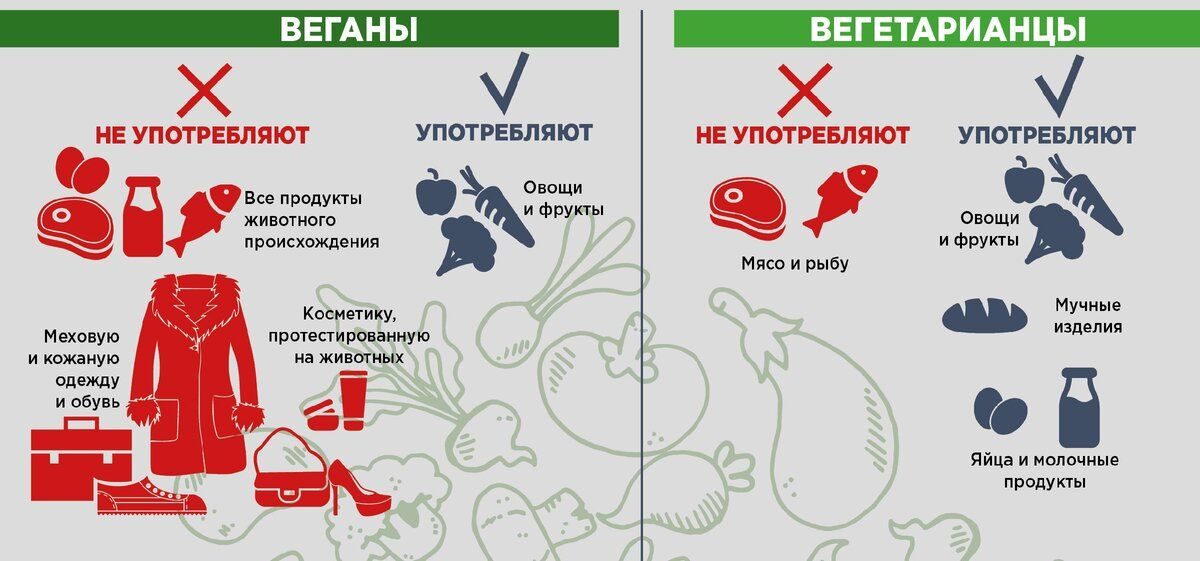 Веган - это... я даже не знаю, как назвать...