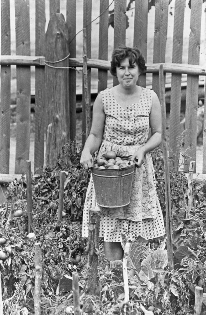 "Урожай", 1960-е гг. Фото: В.Скворцов.