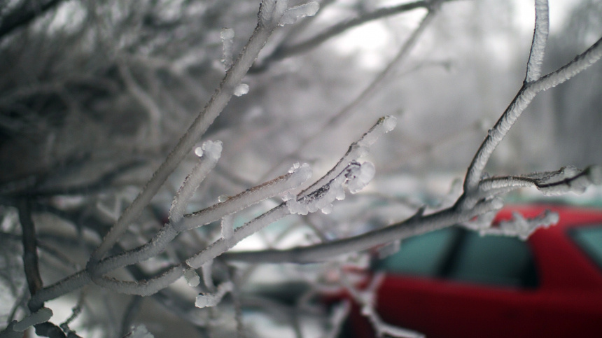    Фото: © РИА Новости/Владимир Песня