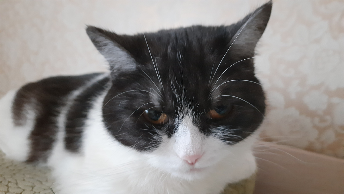 Сколько весит облако и почему не падает на землю, а продолжает перемещаться по небу. Интересный мир