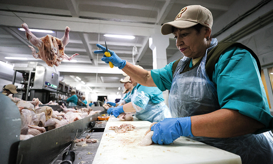    © Дмитрий Ягодкин/ТАСС