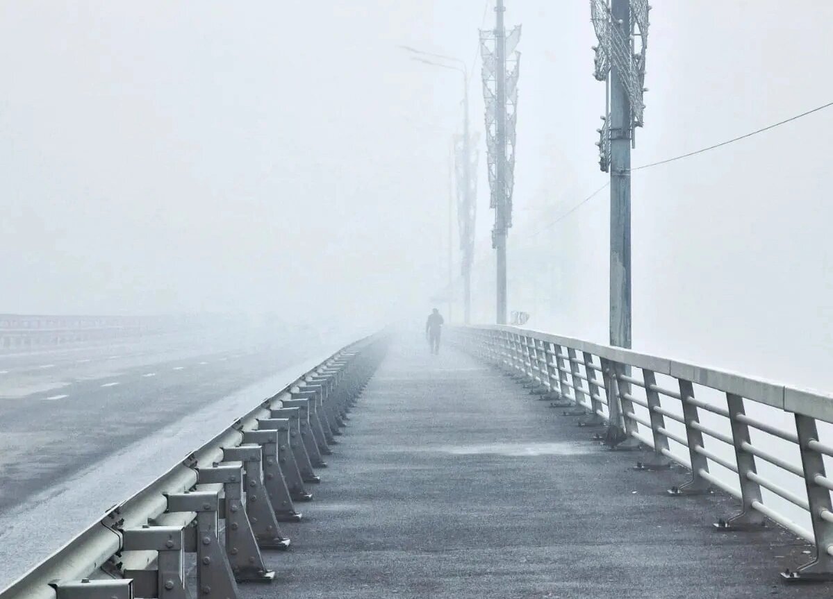    Фото: Роман Неведров