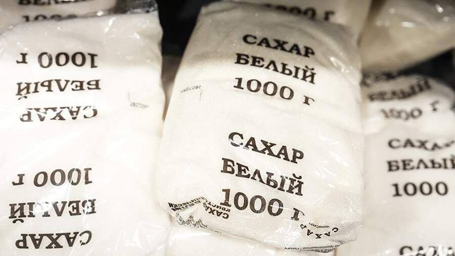    Фото: ИЗВЕСТИЯ/Эдуард Корниенко