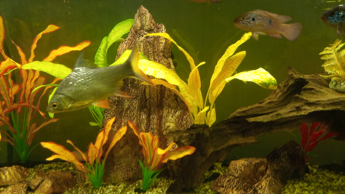 Фото Автора