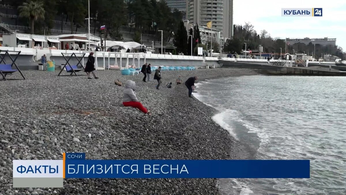    Скриншот видео телеканала «Кубань 24»