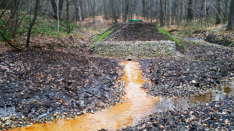 Фото: Дмитрий Тарасов