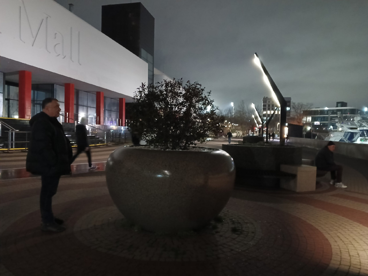 Вазон в виде яблока, а может и репка... Фото Галины Малышевой.