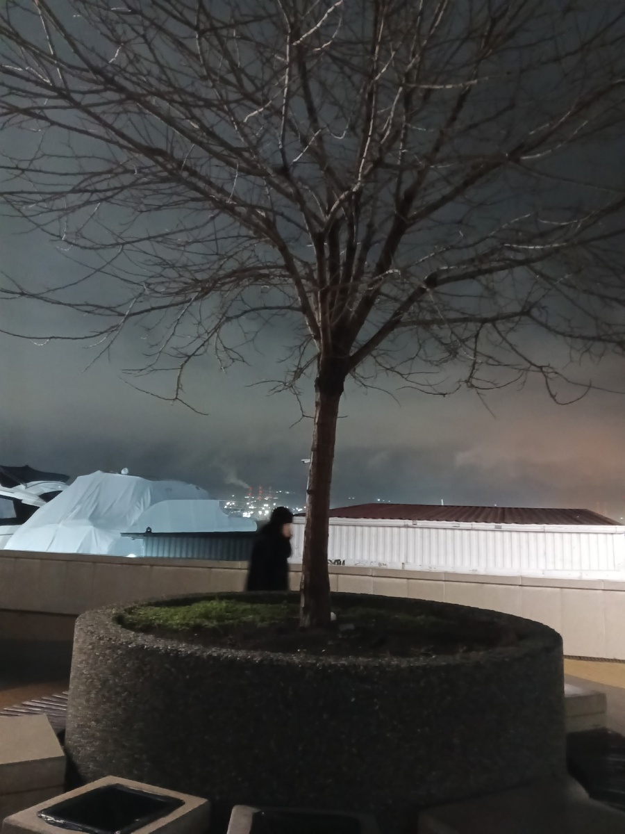 И обычное кольцо. Фото Галины Малышевой.