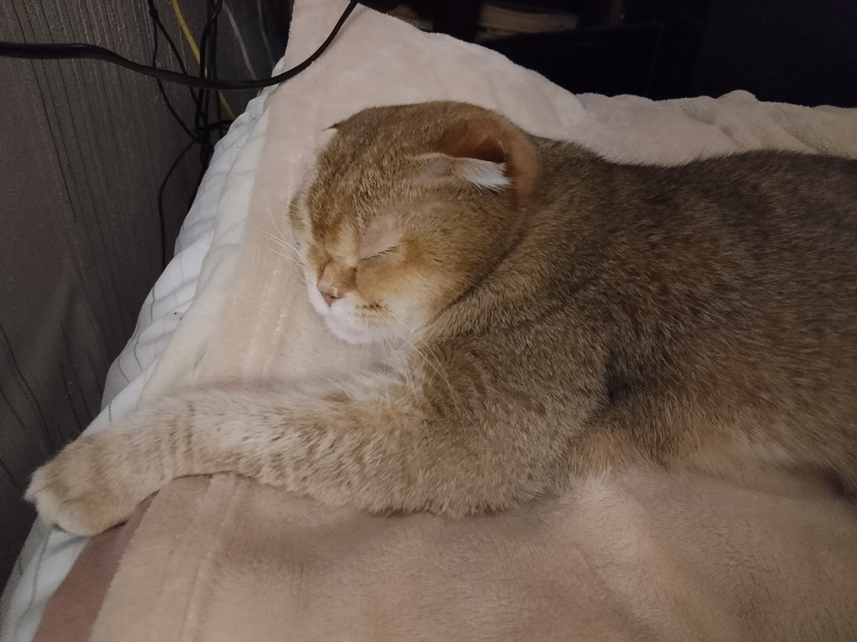 Ты, Наташ, новых игр не придумывай, ладно? 