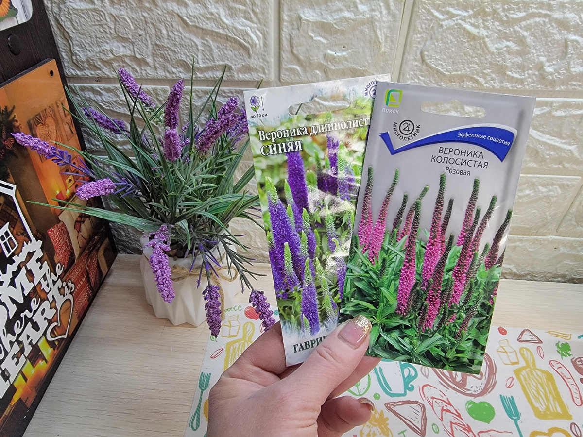 Не является рекламой,я показываю семена,которые буду сеять в этом сезоне..