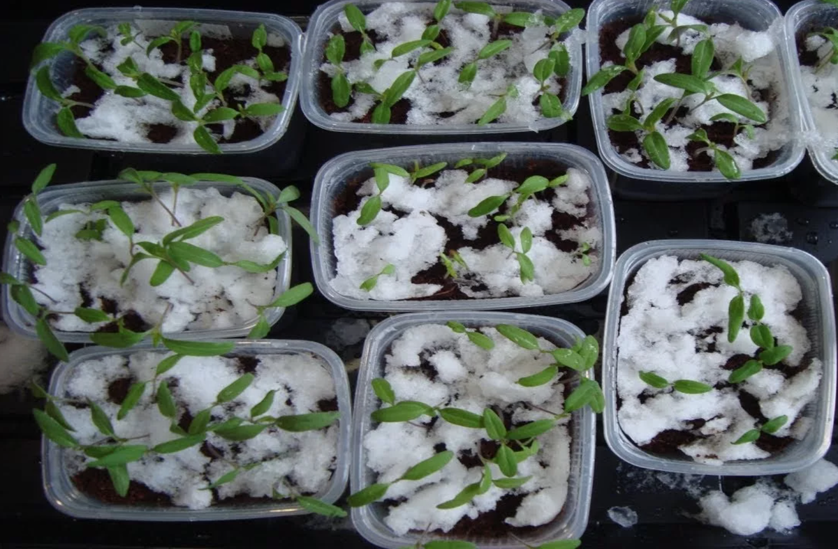 Источник фото: youtube.com