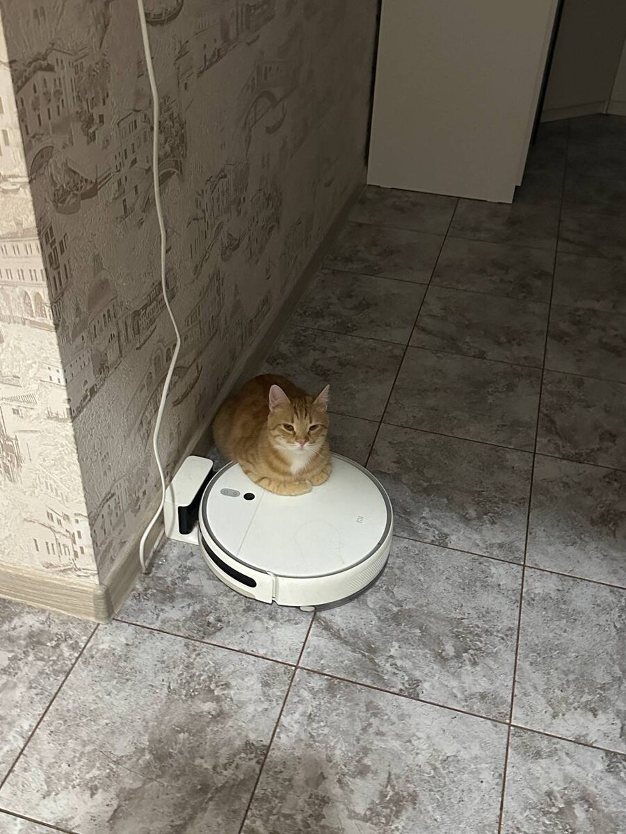 Теперь это моё