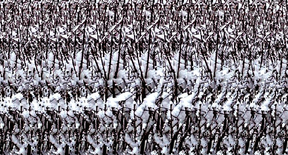 Волшебный мир букв в стереограммах: открываем тайны скрытых изображений