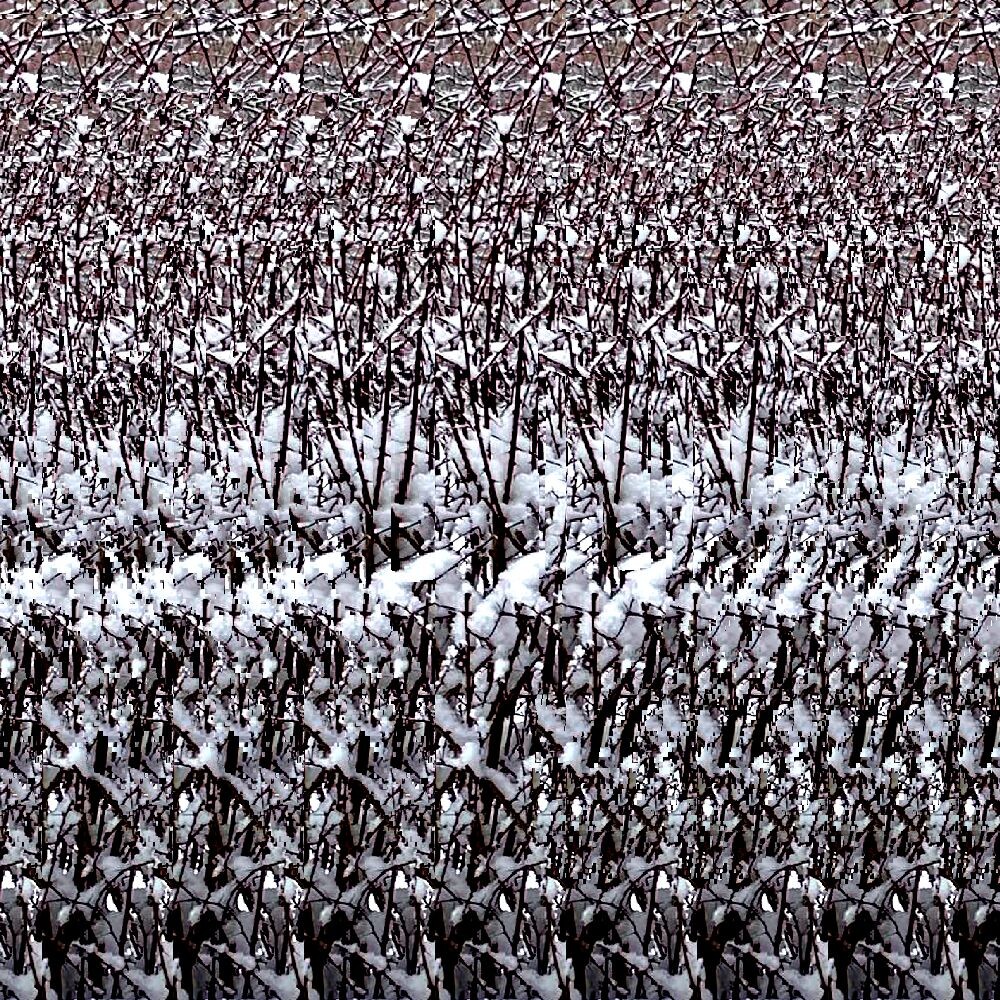 Стереограмма 