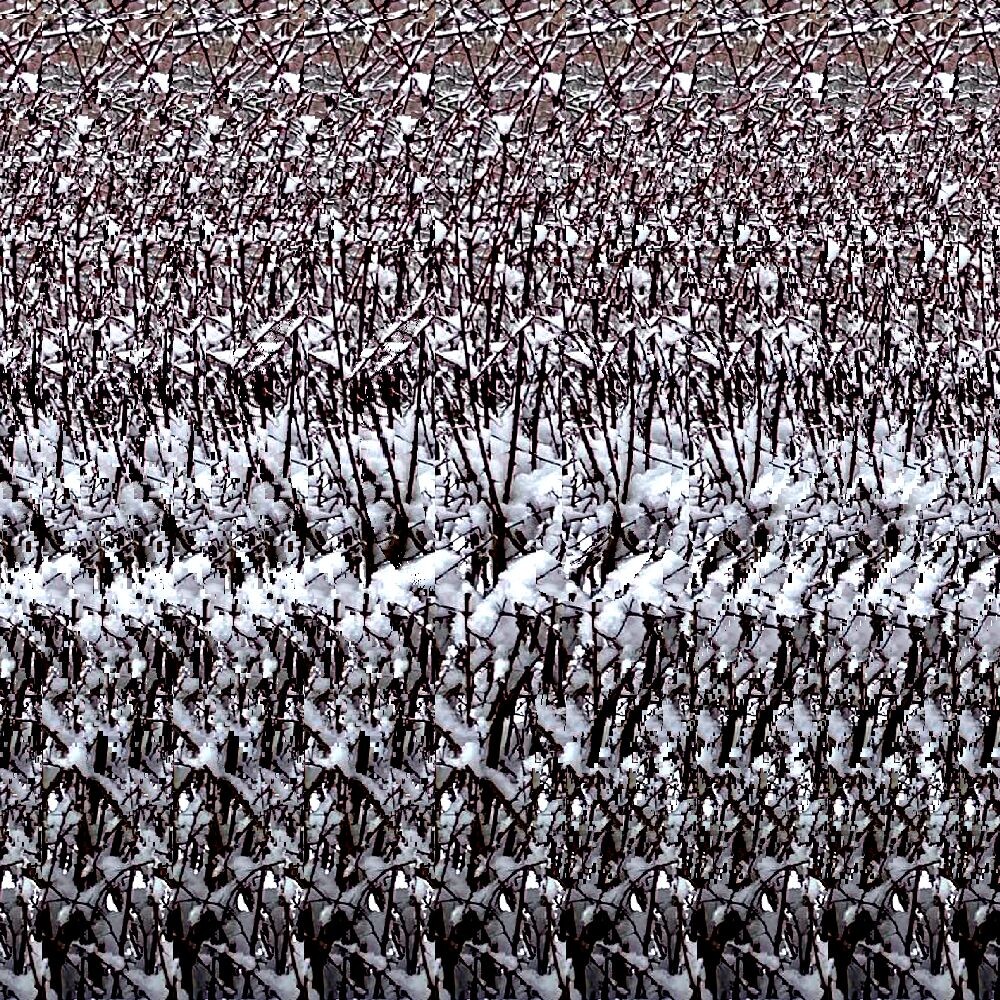 Стереограмма 