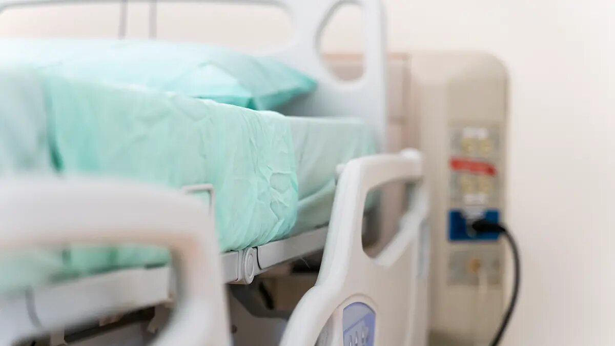    Фото: vm.ru Вероника Ситникова