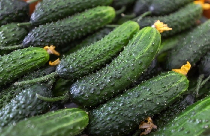    Егор Алеев/ТАСС