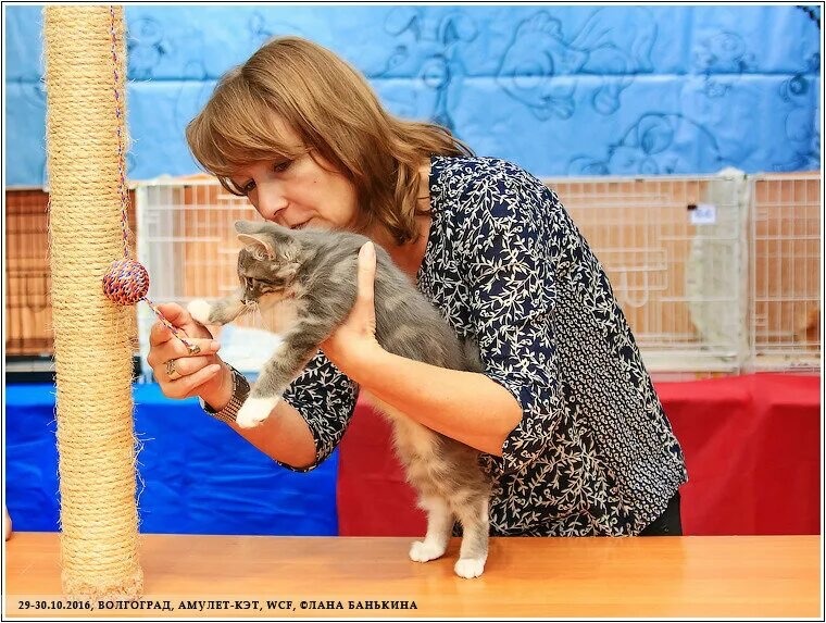 Главное — игра!