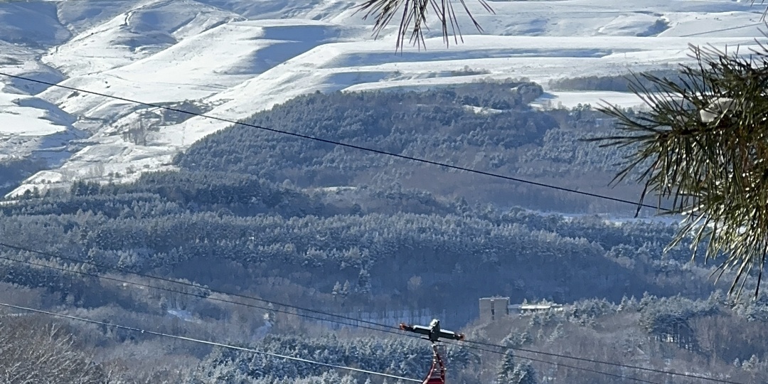 Стоит ли подниматься в верхний парк Кисловодска, как это лучше сделать и что вы увидите.