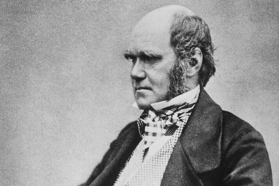 Чарльз Дарвин в 1854 году, через несколько лет после возвращения из кругосветного путешествия. Источник: Общественное достояние📷
