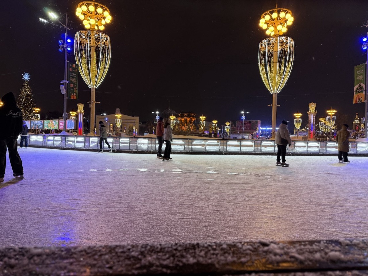 Каток на ВДНХ. Фото автора статьи