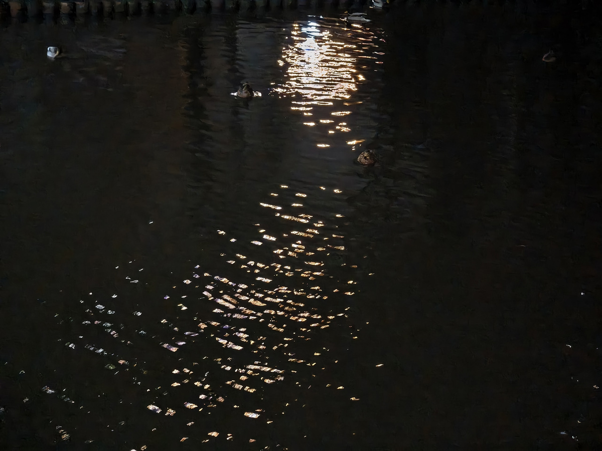 Вечерний пруд