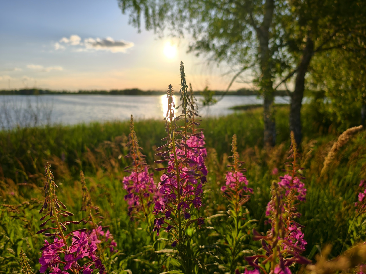 Летний закат