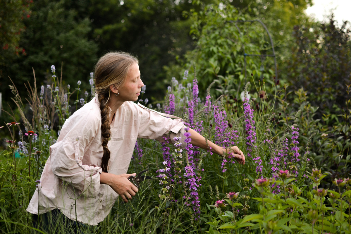 Маруся летом 2025 в описываемом цветнике