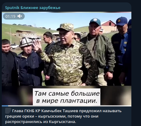    Фото: скриншот Telegram/"Sputnik Ближнее зарубежье"