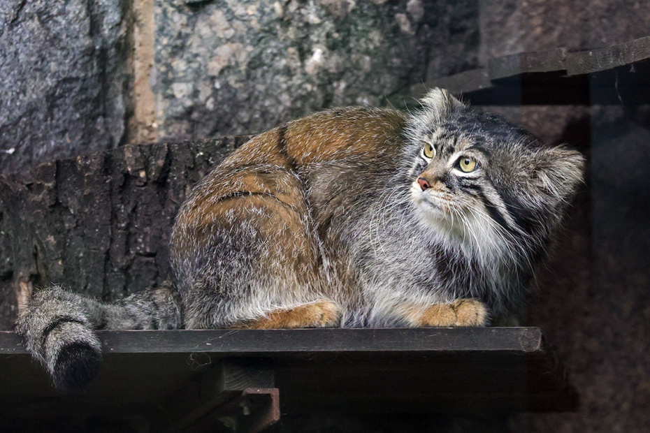    Наталья Шатохина/NEWS.ru