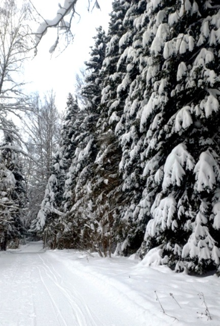 Зима 2026. Фото Татьяны Федотовой.