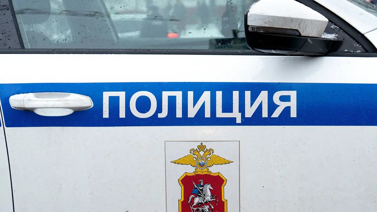    Фото: vm.ru Ульяна Лаптева