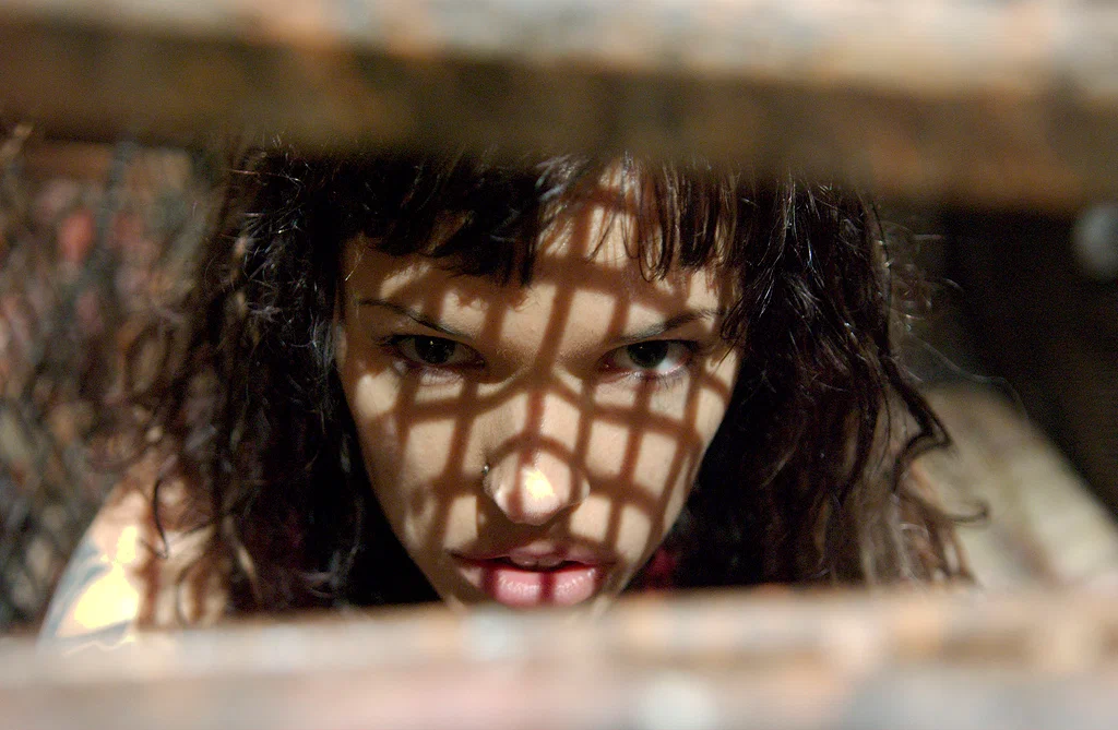 (источник: kinopoisk.ru)