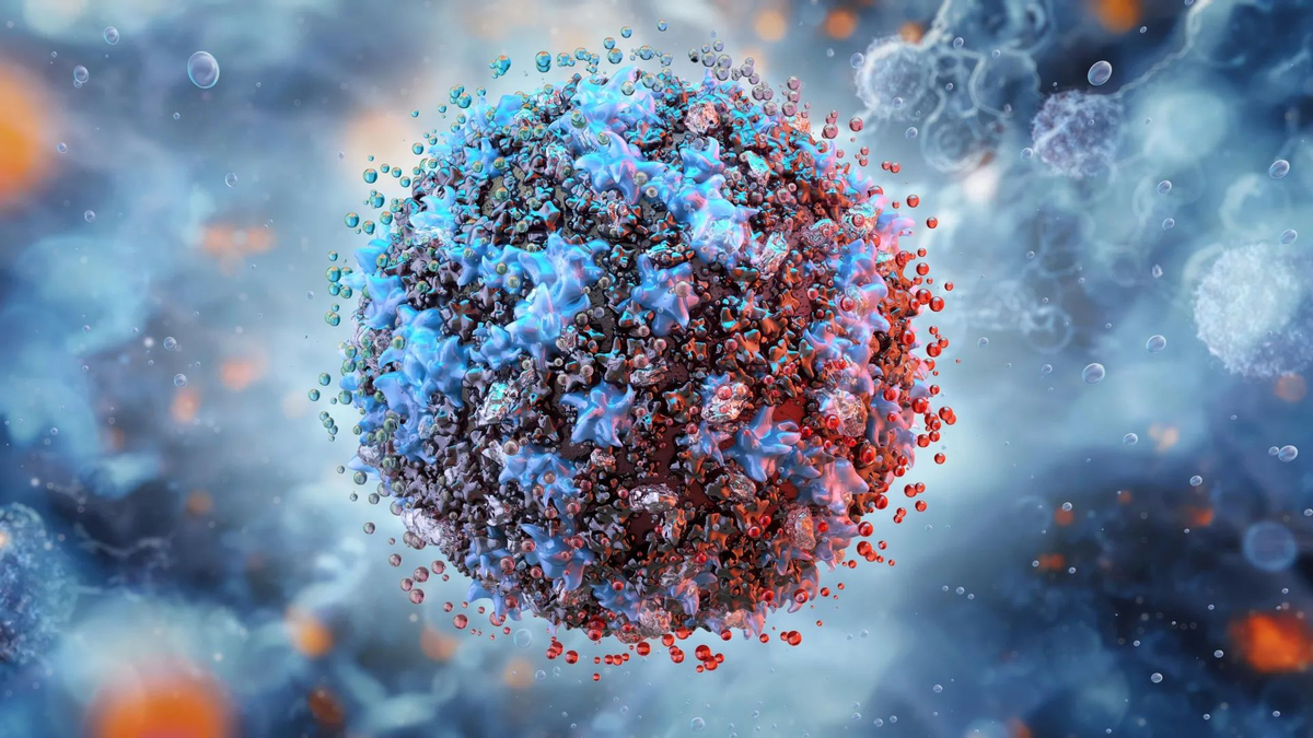 Изображение: Shutterstock