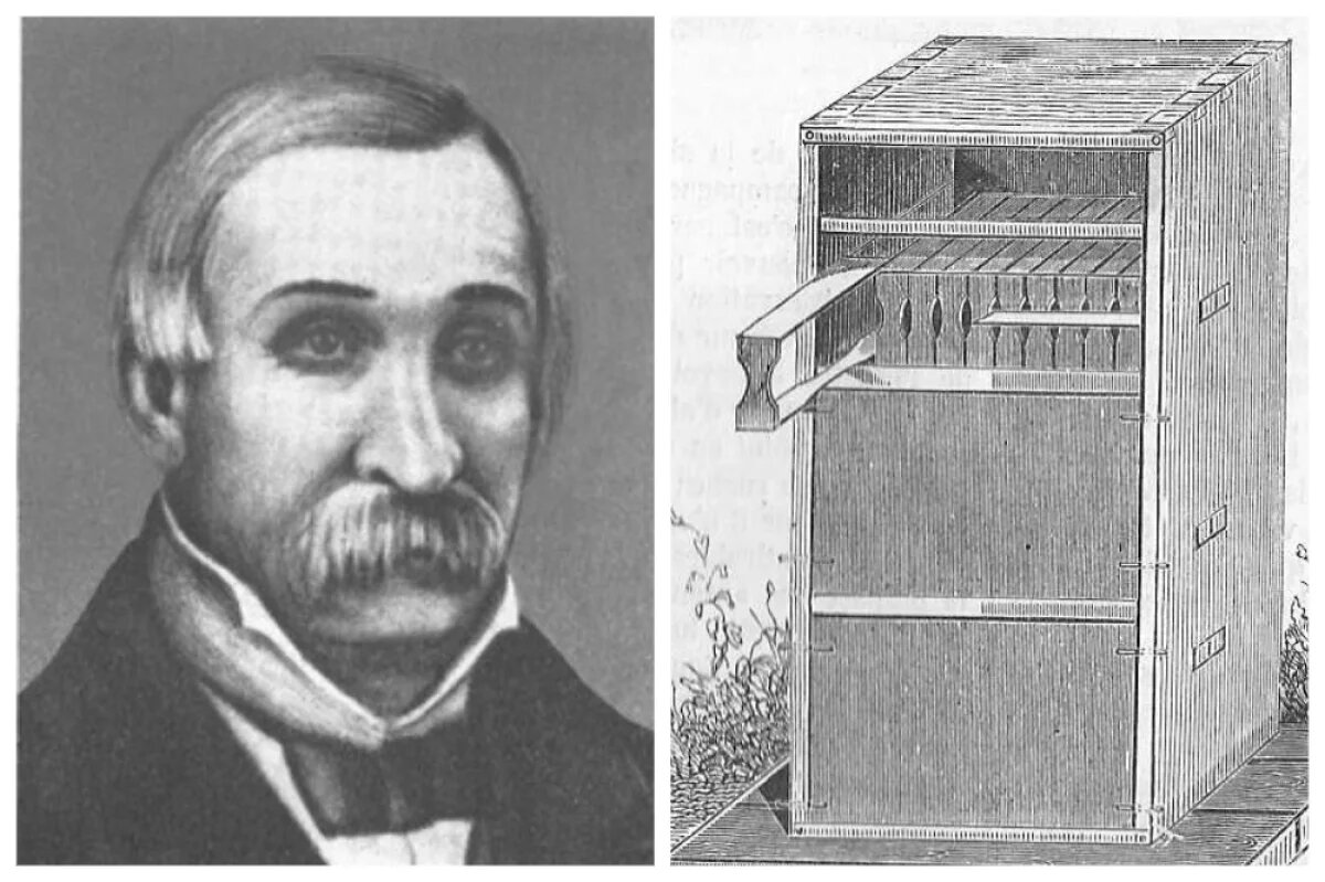    Петр Прокопович придумал рамочный улей - это был настоящий прорыв для того времени.