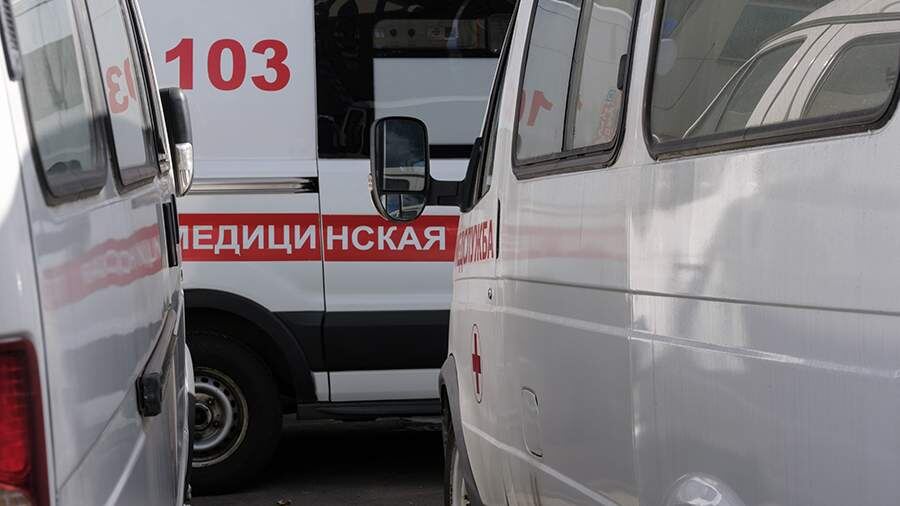    Фото: ИЗВЕСТИЯ/Сергей Виноградов