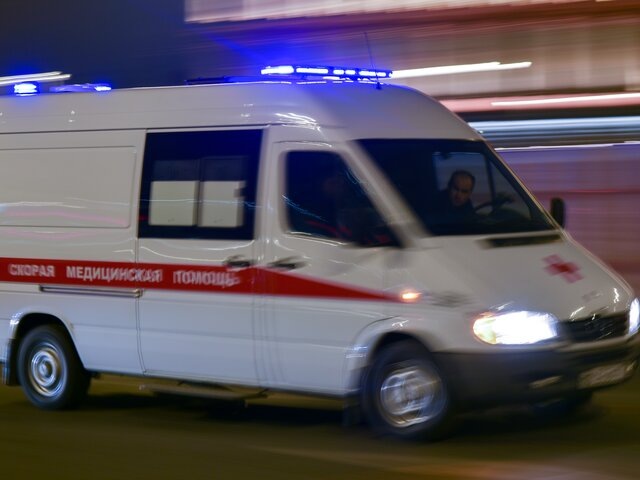    Фото: Москва 24/Антон Великжанин