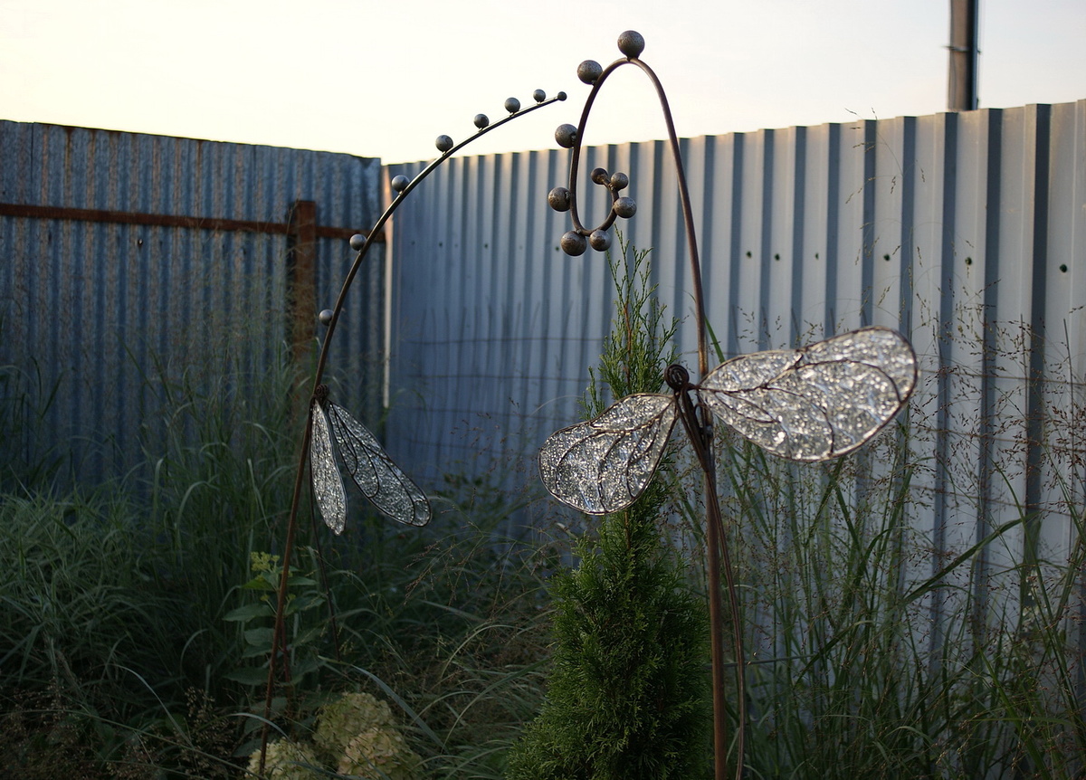 Стрекозы в палисаднике.