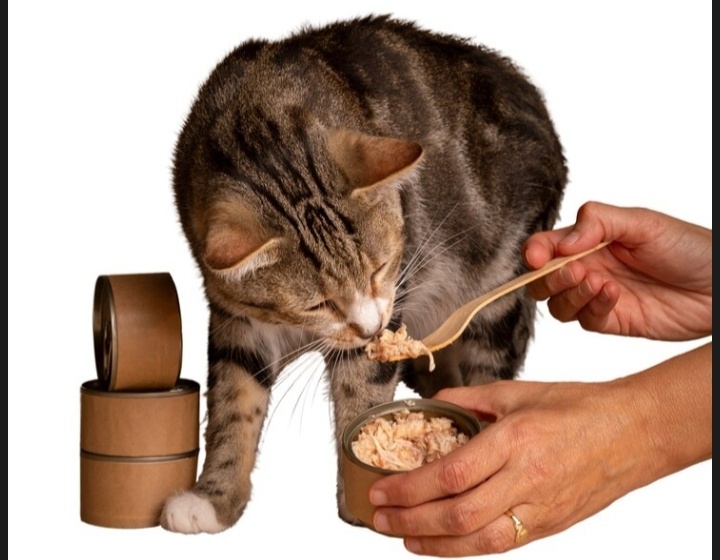 Скриншот с фрипик