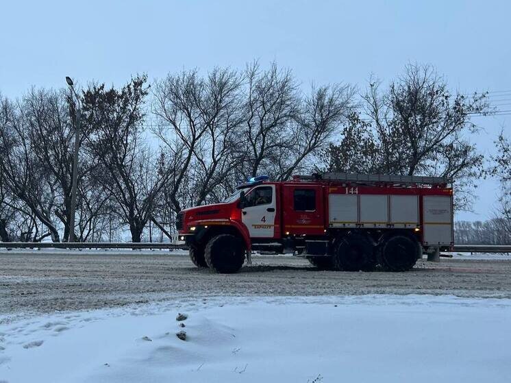     Фото иллюстративное Источник: МК на Алтае/Оксана Исакова