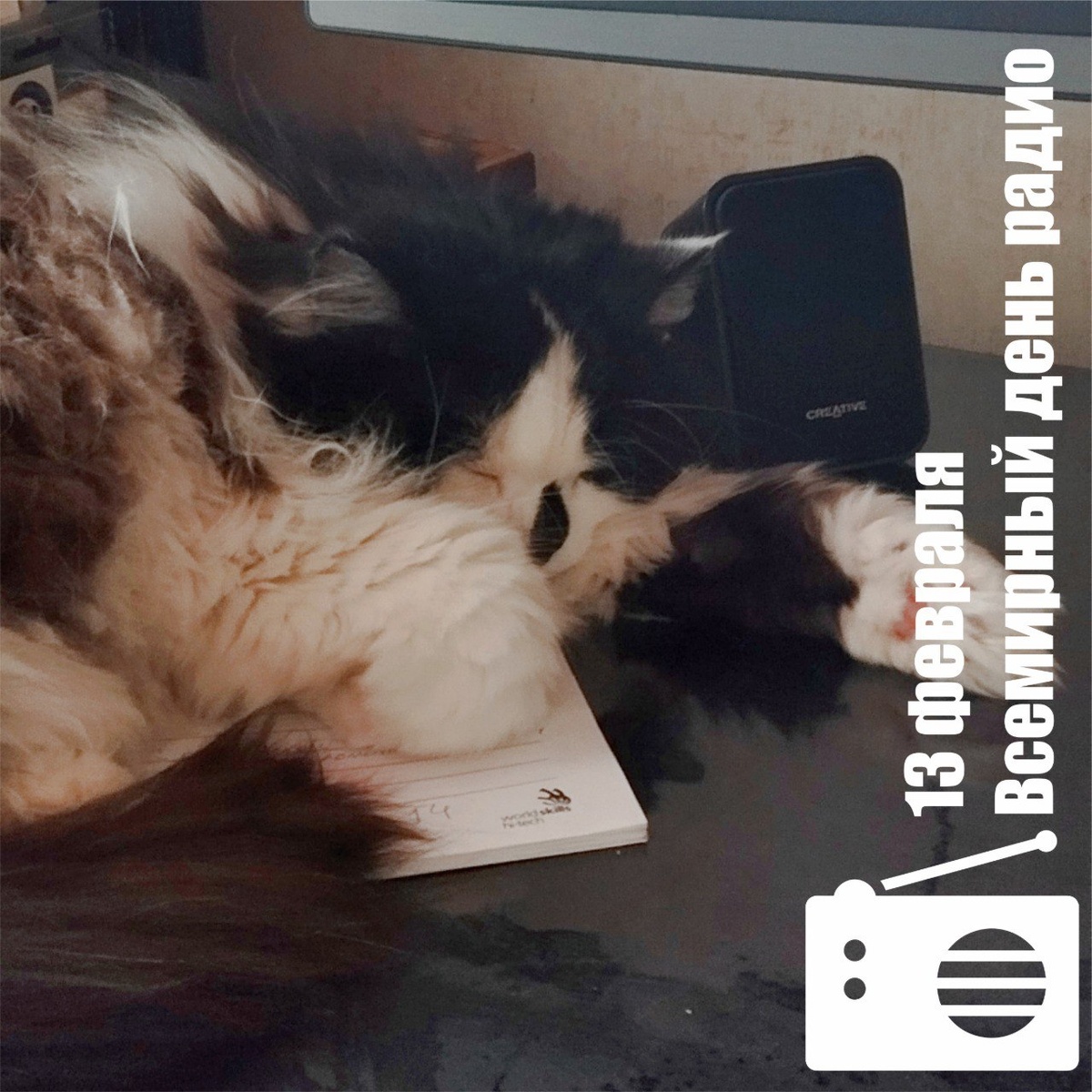 🐾 Комментарий Котейки По Имени Роршах