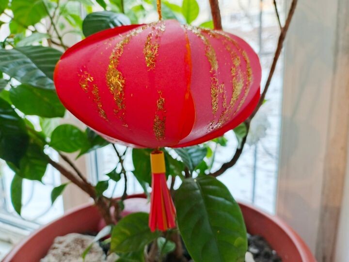 Мастер класс от «Хабинфо»: китайский новогодний фонарик