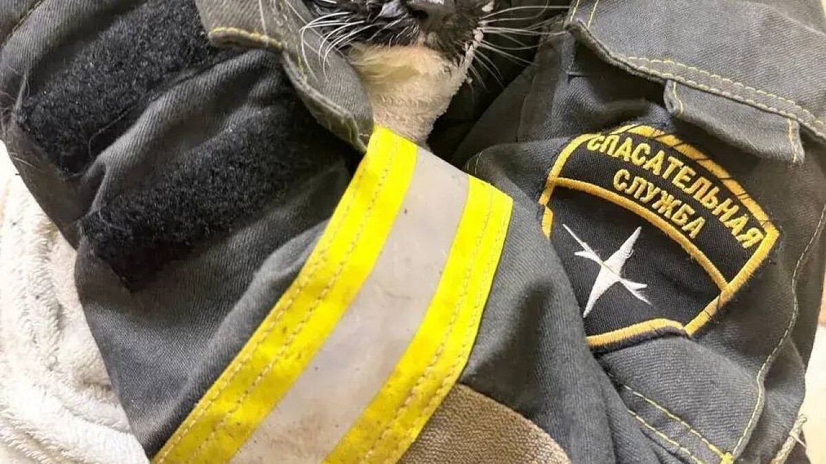    Фото: «СпасРезерв»