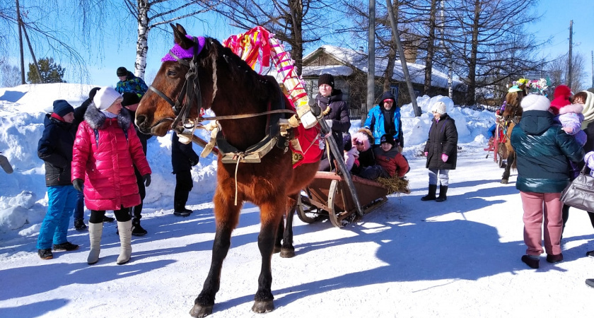    Фото progorod43.ru