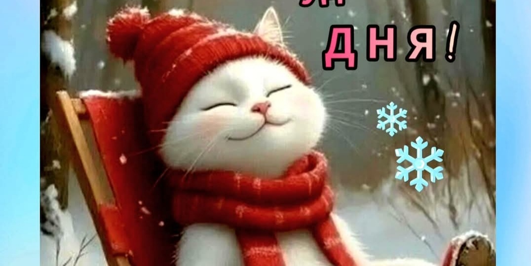 Моя жизнь по новому принципу