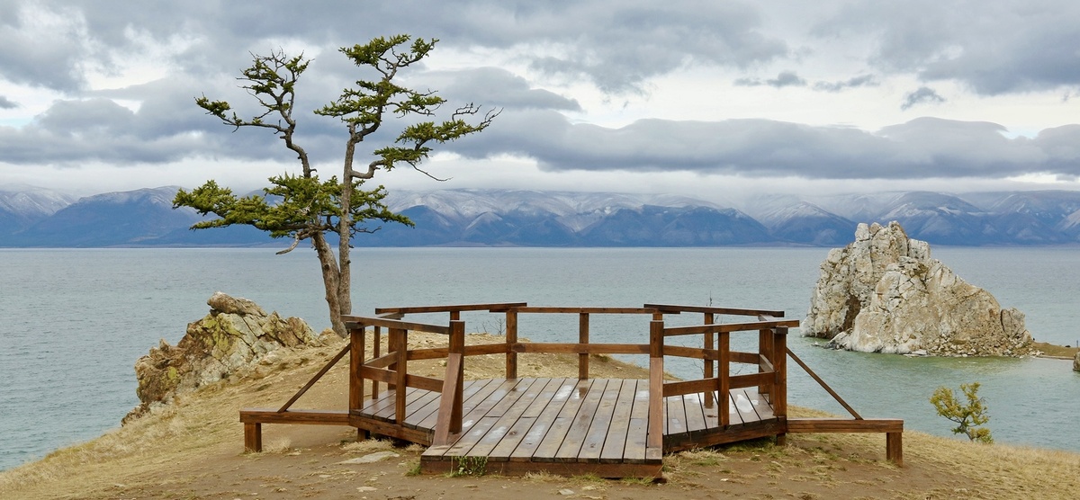 © Фото: фонд «Подари планете жизнь»