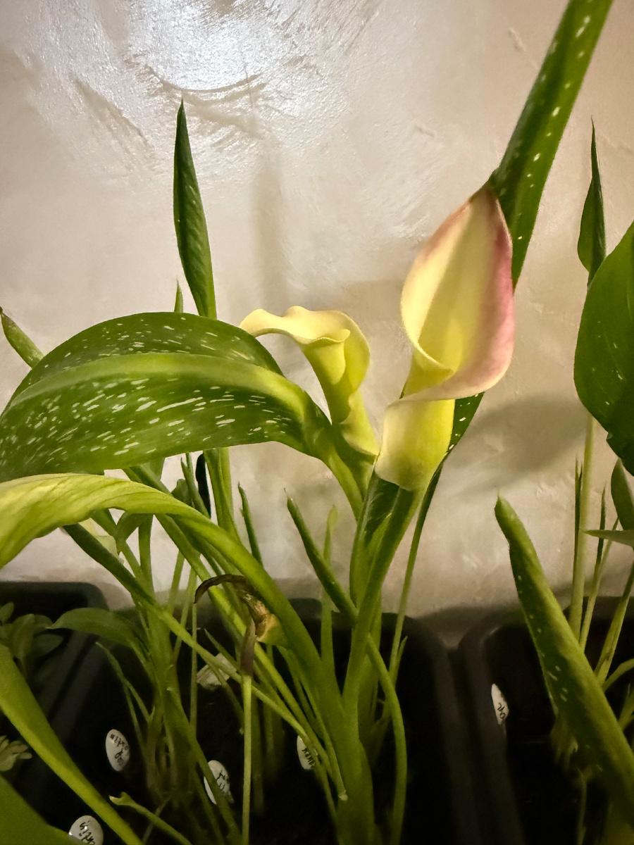 Фото из личного архива