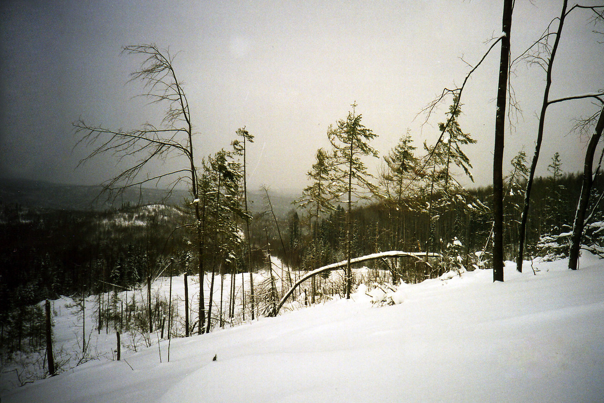 Склоны гор. Средний Урал.