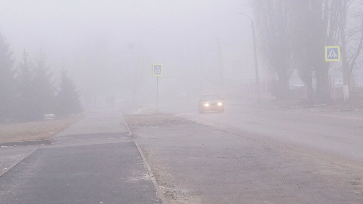    Фото: Сергей Егоров